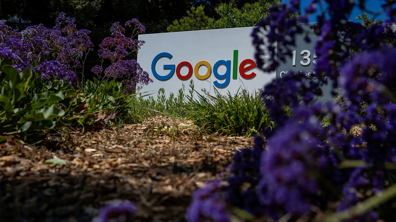 Google sign framed by purple flowers and green plants, with "135" visible on the sign.